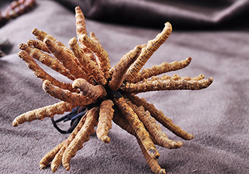 三江源北京海淀店